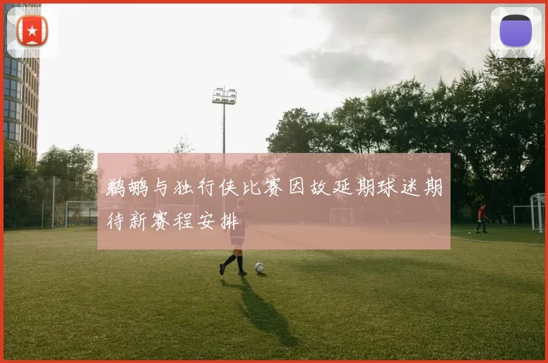 鹈鹕与独行侠比赛因故延期球迷期待新赛程安排