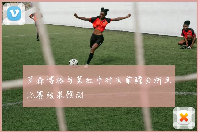 罗森博格与莱红牛对决前瞻分析及比赛结果预测