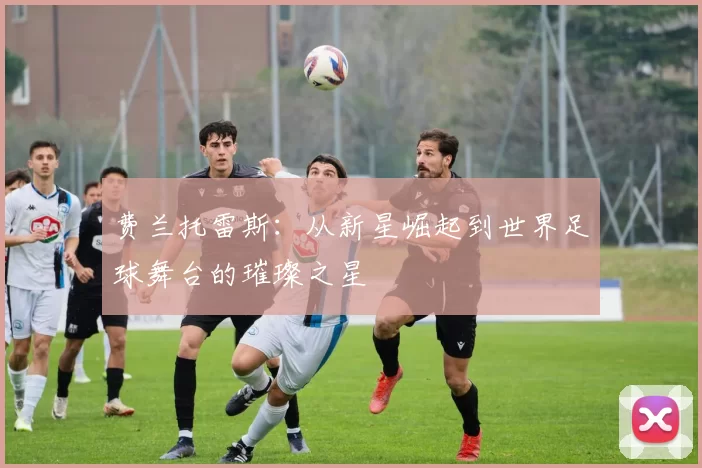 费兰托雷斯：从新星崛起到世界足球舞台的璀璨之星