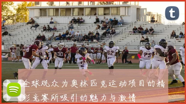 全球观众为奥林匹克运动项目的精彩竞赛所吸引的魅力与激情